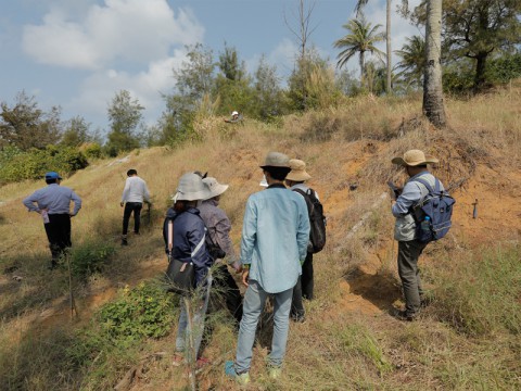 Đường bờ biển cổ